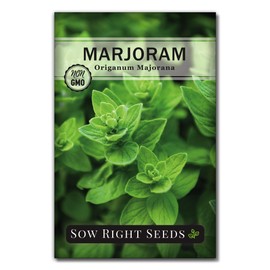 Sow Right Seeds - Marjoram Seeds Non-GMO Heirloom Seeds with Full Instructions for Planting a Beautiful herb Garden; Great Gift for Your Gardening Friend