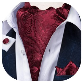 DiBanGu Burgundy Ascot Ties for Men Cravat Tie and Pocket Square Set Jacquard Silk Ascot Paisley Cravat for Men