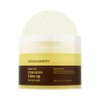 EQQUALBERRY Toner Pads Faciales Colágeno y Glutatión 60 Pads