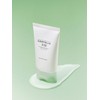 [Renewal] Madagascar Centella Teatrica B5 Cream 75ml / [리뉴얼]마다가스카르 센텔라