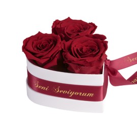 ROSEMARIE SCHULZ Heidelberg Infinity Rose Box Heart - 3 Real Dark Red Roses Preserved Durable 3 Years 10 x 12 cm - Seni Seviyorum Hediye Gifts for Girlfriend Love