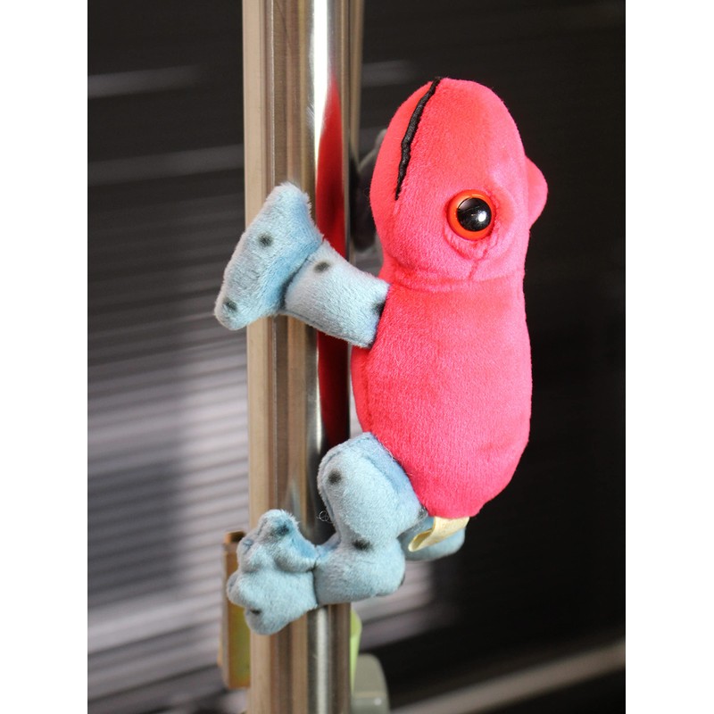 takeoff magnet strawberry dogfrog