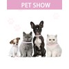 Solmoony Breakaway Cat Collars with Bell,Adjustable Safe Kitten Collar,Cat Collars