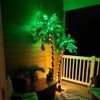 LIGHTSHARE Lighted Palm Tree, 5FT, Green Leaves and Lights
