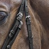 Waldhausen Star Bridle Basic Warmblood Black