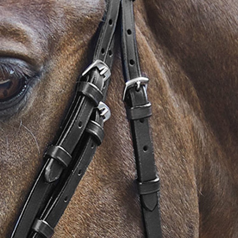 Waldhausen Star Bridle Basic Warmblood Black