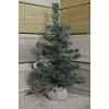 45cm Tall Indoor Foldable Mini Green Christmas Tree in a