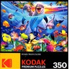 Playful Dolphins 350 Piece Puzzle