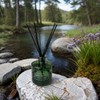 Bellevue Reed Diffuser, 6 fl oz Glass Filled Diffuser, Highly