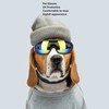 Dog Sunglasses Goggles UV Wind Dust Protection Pet Glasses Eye