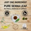 BilkoCOOP Senna Leaf Tea - 3 Pack (60 Tea Bags)