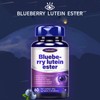 Blueberry Lutein Lipid 1g*60pcs Protect & Improve Eye Vision Delay
