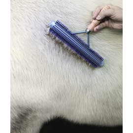 Weaver Leather Livestock Wide Range Brush ,69-6013, Silver/Purple