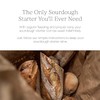 Breadtopia Sourdough Starter Kit | Get Started Making Delicious Homemade