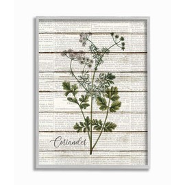 Stupell Industries Coriander Vintage Herb Kitchen Dining Room Word Collage Design Gray Framed Wall Art, 11 x 14, Multi-Color