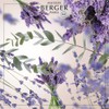 [French Version] Lamp Berger LAMPE BERGER Aroma Oil 1L Lavender