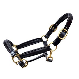 Aces Equine LEATHER HORSE HEADCOLLAR HALTER FULLY RAISED AND PADDED BLACK COLOR BRASS FITTING (PONY)