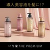 Ichikami The Premium Extra Damage Care Shampoo (Silky Smooth), Refill,