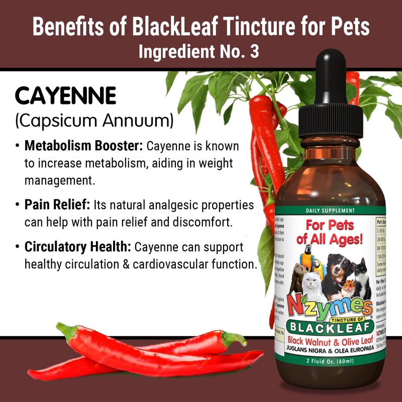 BlackLeaf Tincture for Pets - 2 Pack