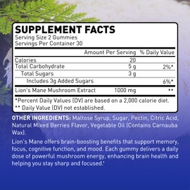 Novafun Lion's Mane Mushroom Gummies – 1000mg for Focus & Cognitive Support, Vegetarian & Gluten-Free, Mixed Berry Flavor, 60 Count