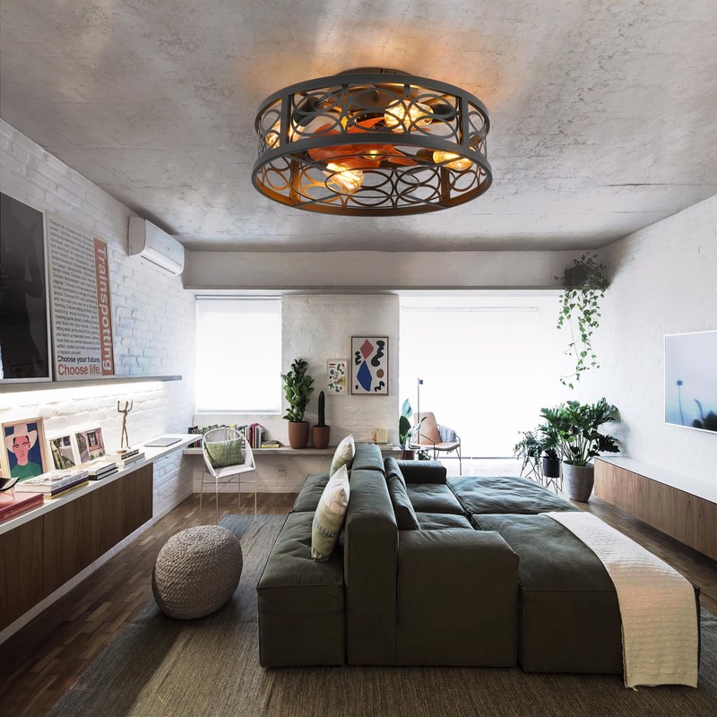 HUEOCZW 20" Caged Ceiling Fan with Light and Remote，Bladeless Ceiling