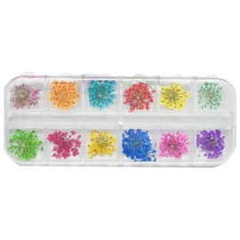 Varna Dried Flower Gypsophila Nail Parts Set, 1 Piece, Mixed Colors / 바르나 드라이플라워 안개꽃 네일 파츠 세트, 1개, 혼합색상