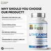 Humming Herbs L-Theanine Complex 400 mg with Lemon Balm, Magnesium