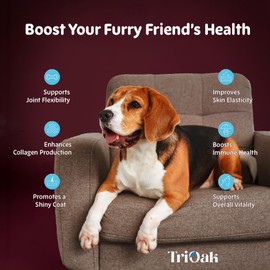 Liquid Collagen Supplement Drops for Dogs: Hip & Joint Support, Skin & Coat Health, Itch Relief in One Daily Supplement with Bioactive Collagen Peptides - Pure Formula Support for All Dog Sizes & Ages