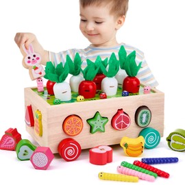 HomeChi Juguetes Montessori para Niños 32PCS, Juguetes de Clasificación de Formas, Juego de Habilidades Motoras Finas de Aprendizaje Preescolar, Juguetes Educativos Regalos para Niños y Niñas