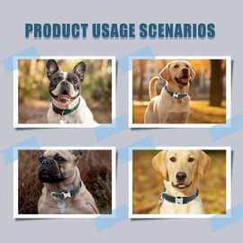 VARKAGE Wide Dog Collar, Leather Dog Collar with Quick Release Metal Buckle, Adjustable, Medium, Green, M