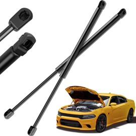 Liftstrut 4536 PM3190 Hood Lift Support Strut Gas Prop Fit for Lexus GS300 1998-2005,for Lexus GS400 1998-2000,for Lexus GS430 2001-2005