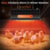 HEYOUTH Heat Lamp Chickens, Red Light Lamp Heat Lamp Chick