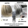 Shampoo Matizador Platinum Black Cabello Cano Gris Plata