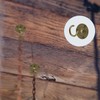 INCREWAY Wall Mount Ceiling Hooks, 4PCS Sturdy Hanging Chandelier Plate