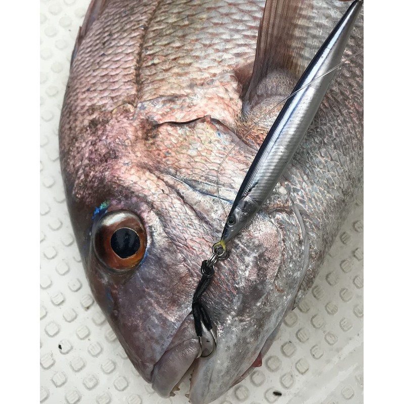Little Jack METAL ADICT-05 40g #01 Pole SANMA 98mm