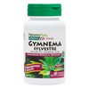 Natures Plus Natures Plus Herbal Actives Gymnema Sylvestre - 300