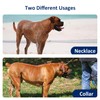 WePet Dog Chain Collar, Metal Slip Collar, Heavy Duty Choke