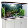 MIRRORANG 120 x 50 cm Underwater Aquarium Background Water Plant