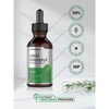 Chlorophyll | 2oz Liquid Drops | Vegan, Non-GMO, and Gluten