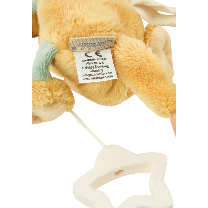 Musical Box S Lion Leo