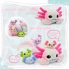 MaoGoLan 5 Pcs Axolotl Plush Stuffed Animal with 4 Babies