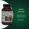 BARLOWE'S HERBAL ELIXIRS Kigelia Africana Bark | 600 mg Per