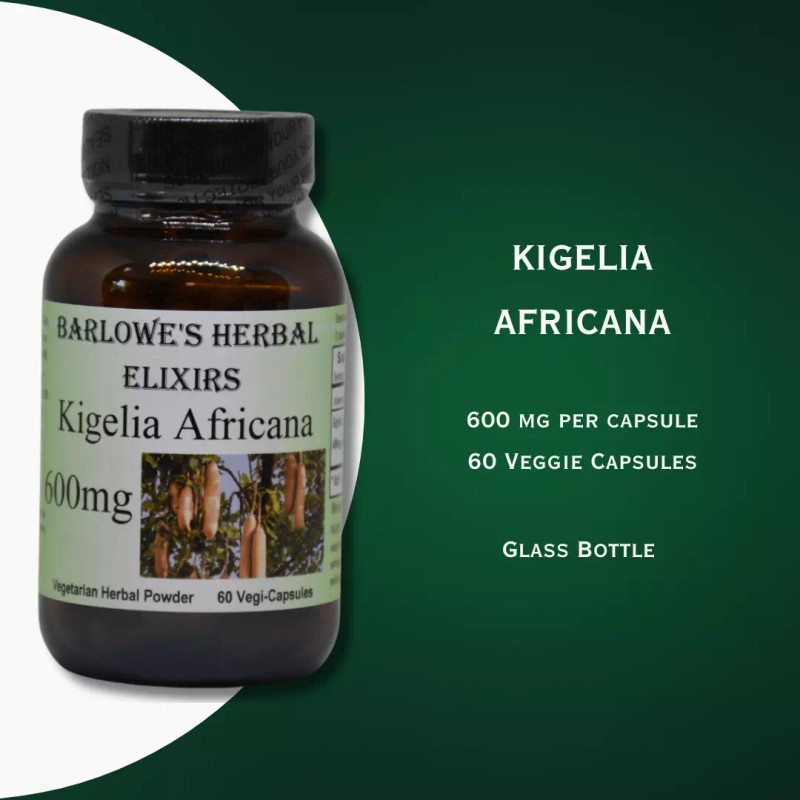 BARLOWE'S HERBAL ELIXIRS Kigelia Africana Bark | 600 mg Per