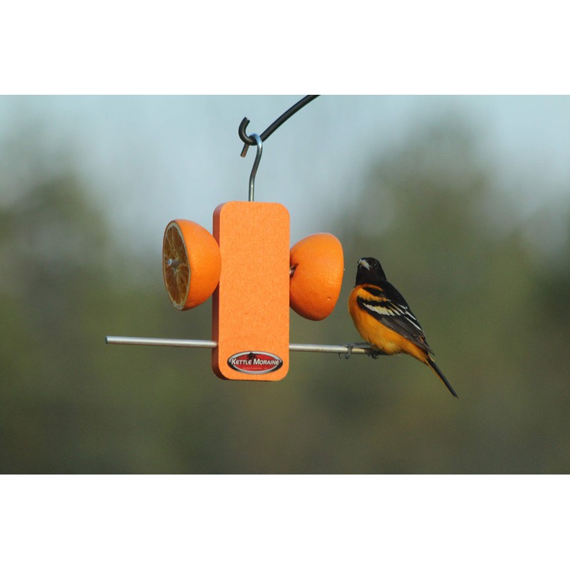 Kettle Moraine Recycled Single Oriole Orange Fruit Stick Feeder