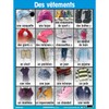 Poster Pals French Educational & Language Teaching Basic Posters, Large