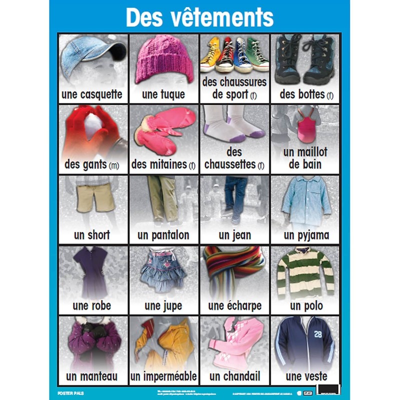 Poster Pals French Educational & Language Teaching Basic Posters, Large