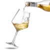 Hlukana Unbreakable Wine Glasses Set of 6, 16 oz Plastic