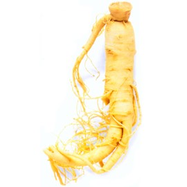 Ginseng, American 1 oz Organic