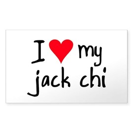 CafePress I Love My Jack Chi Rectangle Bumper Sticker Car Decal