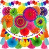 ZERODECO Party Decorations, 41 Pcs Multicoloured Papar Fans Pompoms Garlands